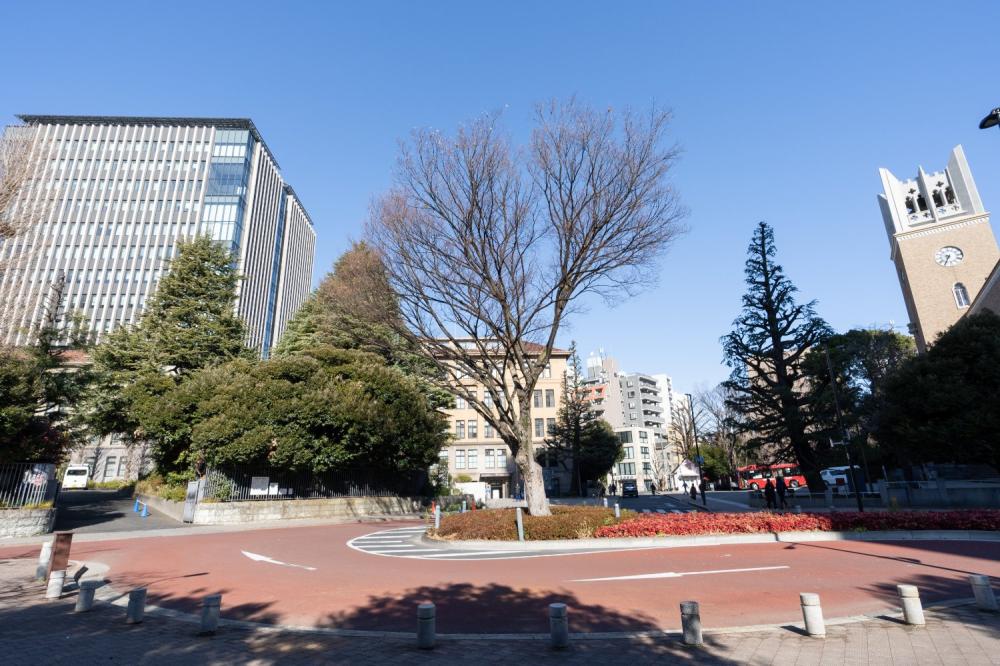 Property Image 物件画像