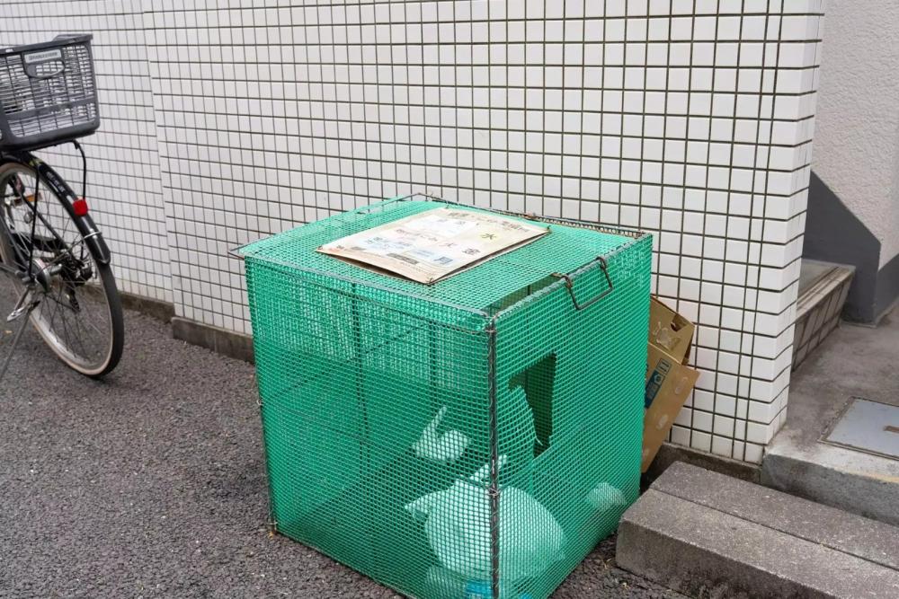 Property Image 物件画像